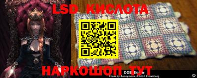 индика Краснознаменск
